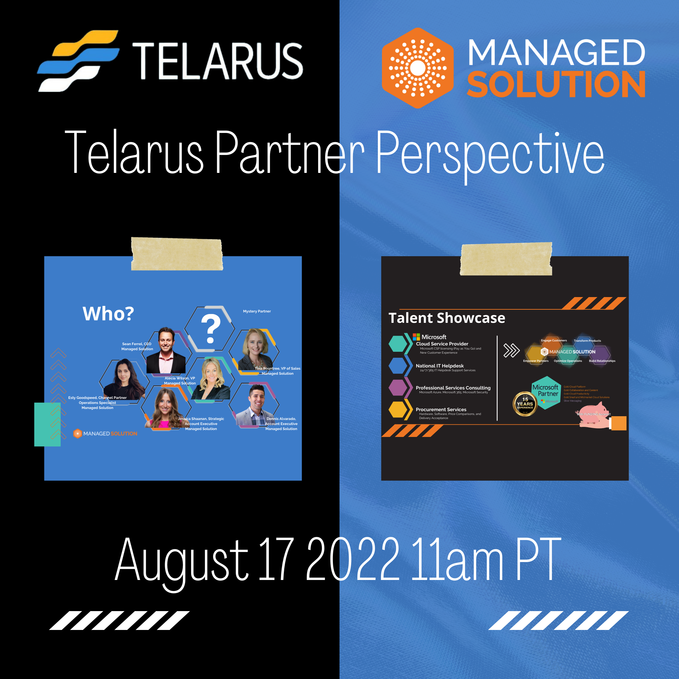Partner Perspective Telarus